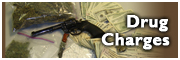 Drug Charges